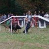 foire-haricots 2011-09-17et18